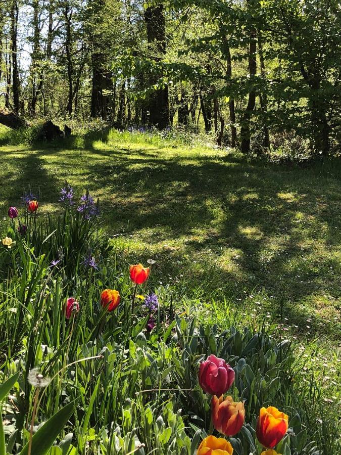 Mabelle Reve B&B Saint-Pierre-de-Côle Екстериор снимка